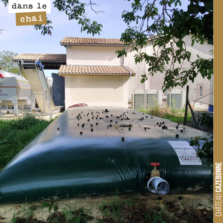 Voici notre poche d’effluents bien remplie. Obligation de retraitement de ces eaux qui nous ont servi au nettoyage tout au long des vinifications.