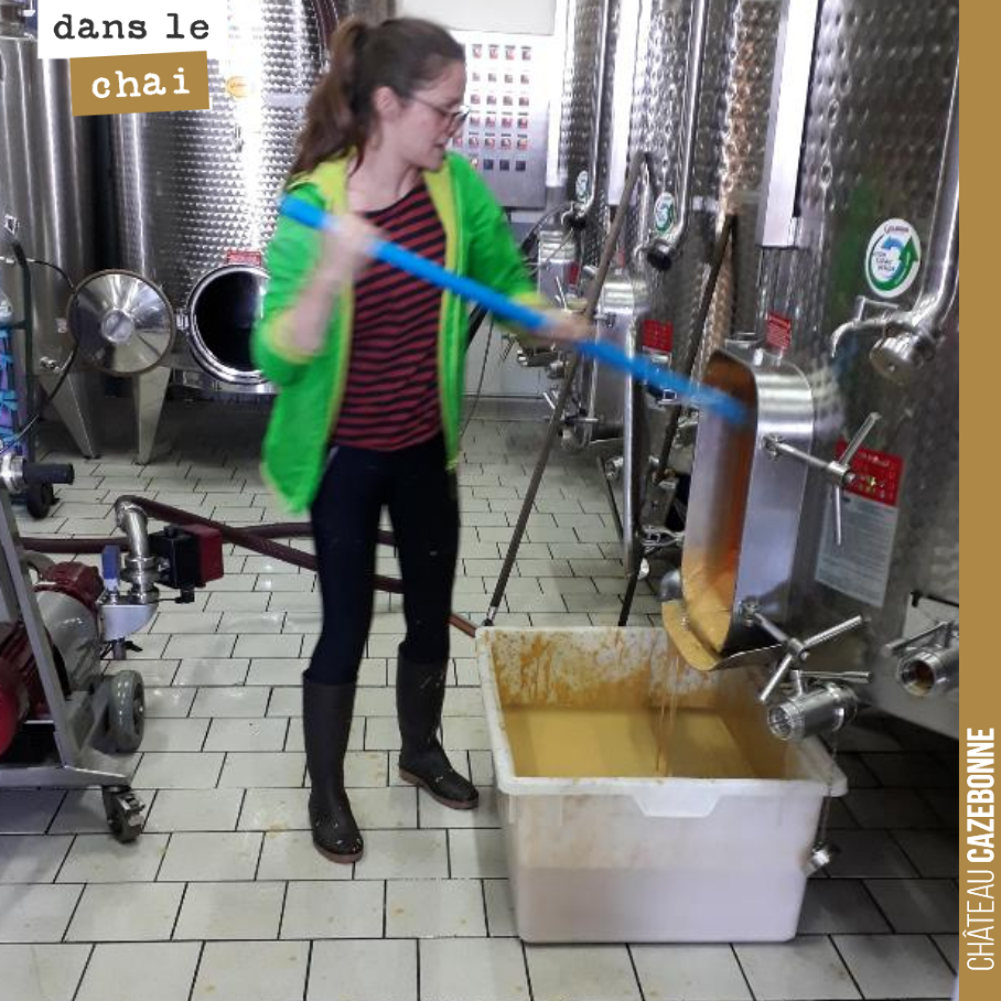 Marion écoule une cuve de semillon qui a maintenant parfaitement fini ses fermentations. On a ramené la température de la cuve à 10 degrés la semaine dernière, ce qui a permis de cristalliser le ta...