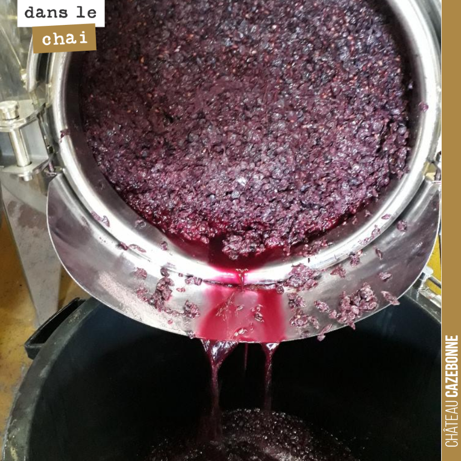 Nous avons écoulé ce matin notre magnifique cuve de cabernet franc de Peyron. Place maintenant à l’élevage en amphore. Un très beau parcellaire en perspective pour un pur Cabernet franc.