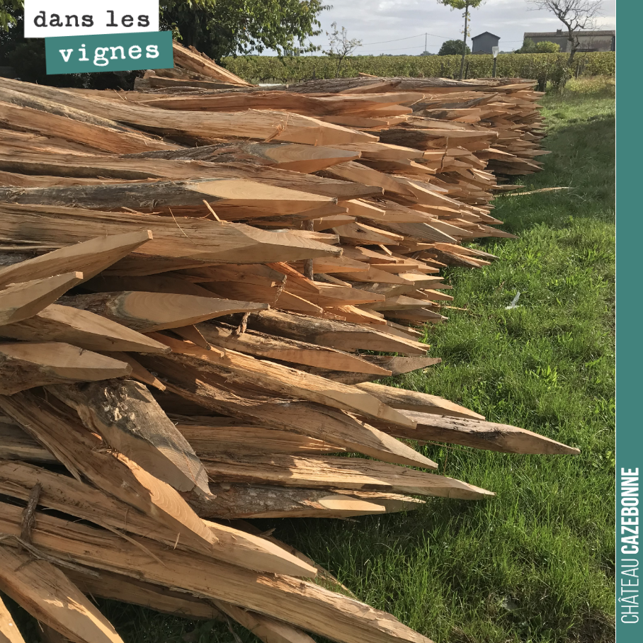 On est prêt pour les travaux d’hiver. Il va s’agir de sécailler. C’est à dire de changer les piquets abîmés, de retendre les fils de fer. Bref d’entretenir les rangs de vigne.