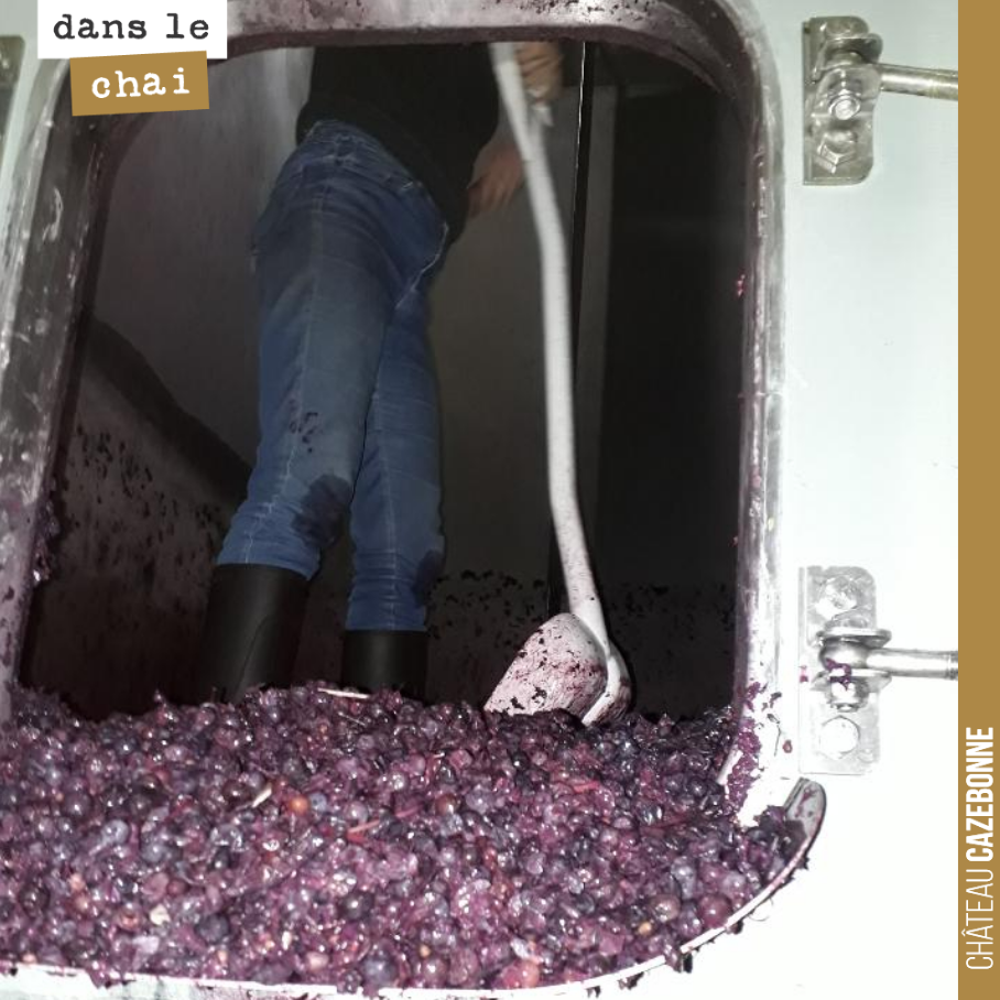 Clap de fin.
Toutes nos cuves ont désormais fini leurs fermentations et sont écoulées. On va déguster tous ces jus la semaine prochaine pour voir lesquelles vont faire l’objet d’un élevage en barr...