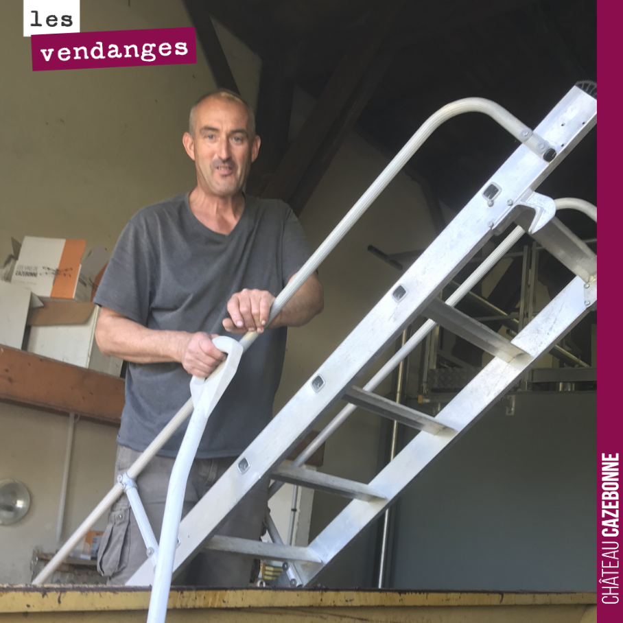 On continue avec la présentation de l’équipe qui nous a permis de vendanger ce millésime 2019.
Ici, Bruno en train de vider une benne.