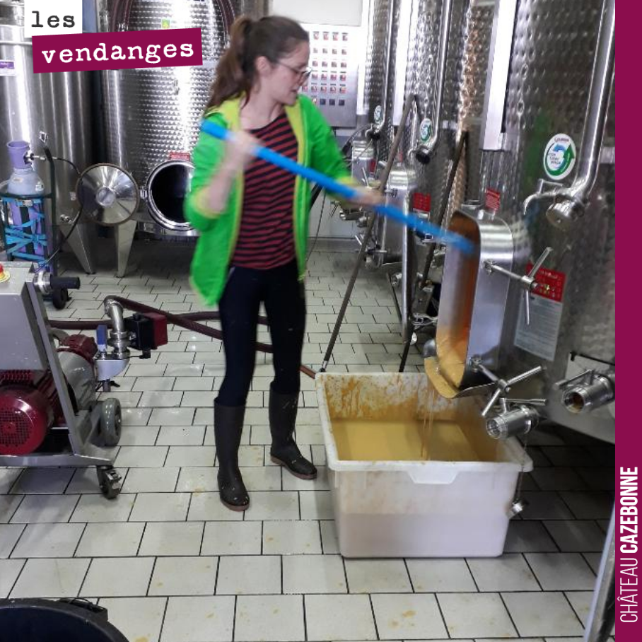 Marion nous a accompagné en stage pour cette vendange 2019. Merci à elle pour son travail, pour son sérieux.
On te souhaite le meilleur dans tes projets.