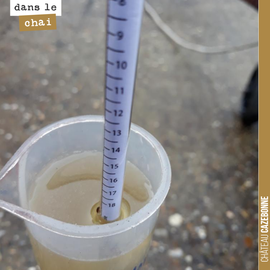 David a rentré sa dernière tri de semillon pour ses liquoreux à Mounissens. Il a fallu beaucoup trier pour écarter les raisins touchés par la pourriture acide et conserver les seuls grains magnifié...