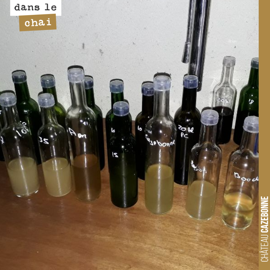 On regoûte chaque semaine toutes les cuves pour apporter à chacune les mesures adéquates. Confirmation de très belles cuvées de blanc cette année. Pour les rouges, c’est plus inégal, mais les éleva...