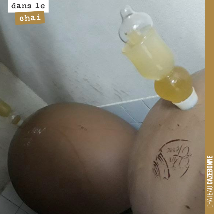 Jaune d’œufs.
L’élevage continue doucement mais sûrement.