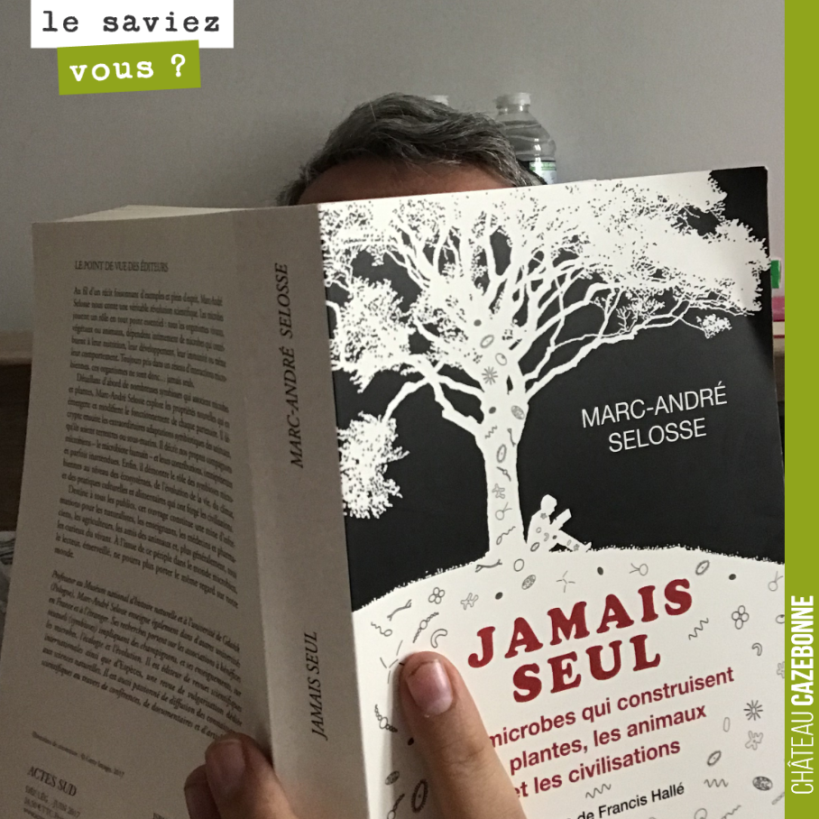 Séances de rattrapage.
Parmi mes dernières résolutions, lire les derniers livres incontournables de ces dernier mois/années, que je n'avais pas pris le temps de lire.
Jamais seul en fait partie. ...