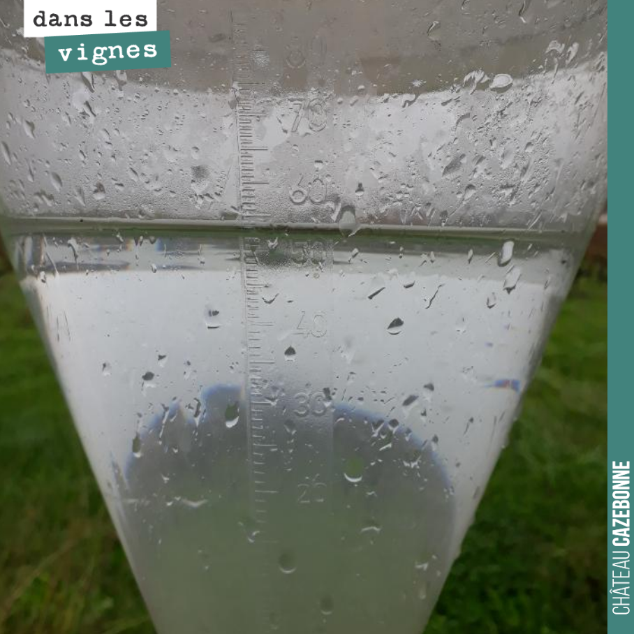 On a pris successivement depuis 2 semaines, 84 mm, puis 54mm ce week-end, puis encore 20 mm hier. Et encore de la pluie annoncée pour ce week end
C’est plutôt une bonne nouvelle, les nappes phréat...