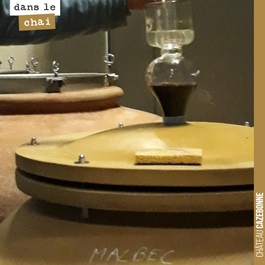 Malbec cocooning.
On va avoir une très belle cuvée parcellaire de malbec, cette année.