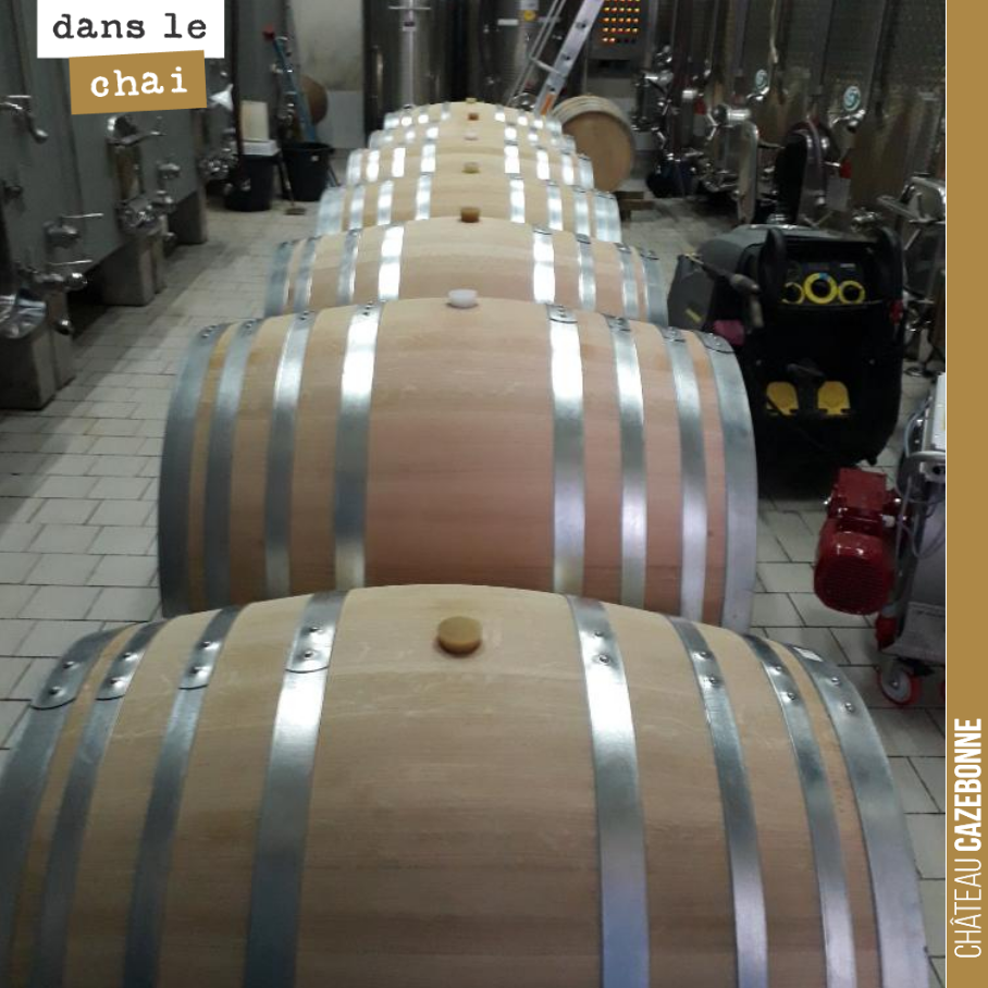 On a disposé nos barriques de vin rouge au milieu des cuves (le chai d’élevage n’a pas pu être terminé dans les temps). Les vinifications sont terminées, place à l’élevage et rendez-vous au printem...