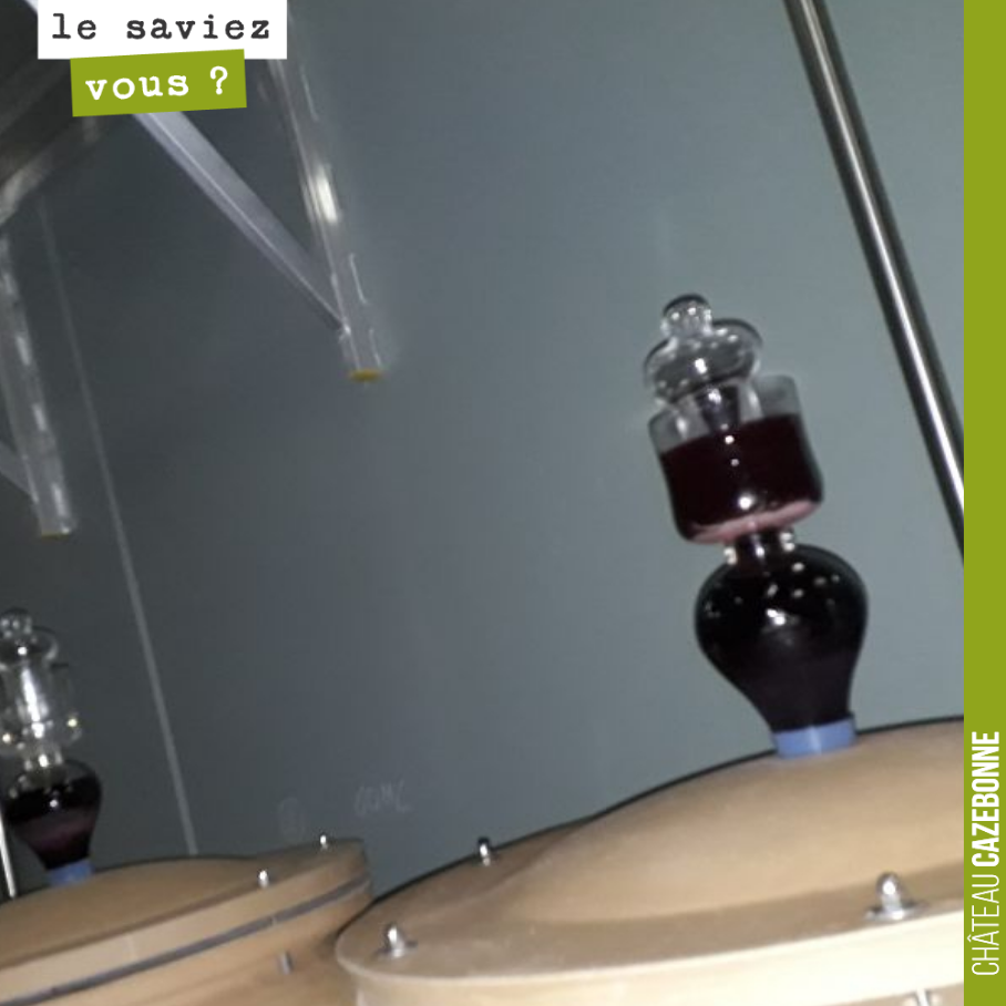 Savez vous pourquoi la bonde de cette amphore s’est remplie de vin rouge ?