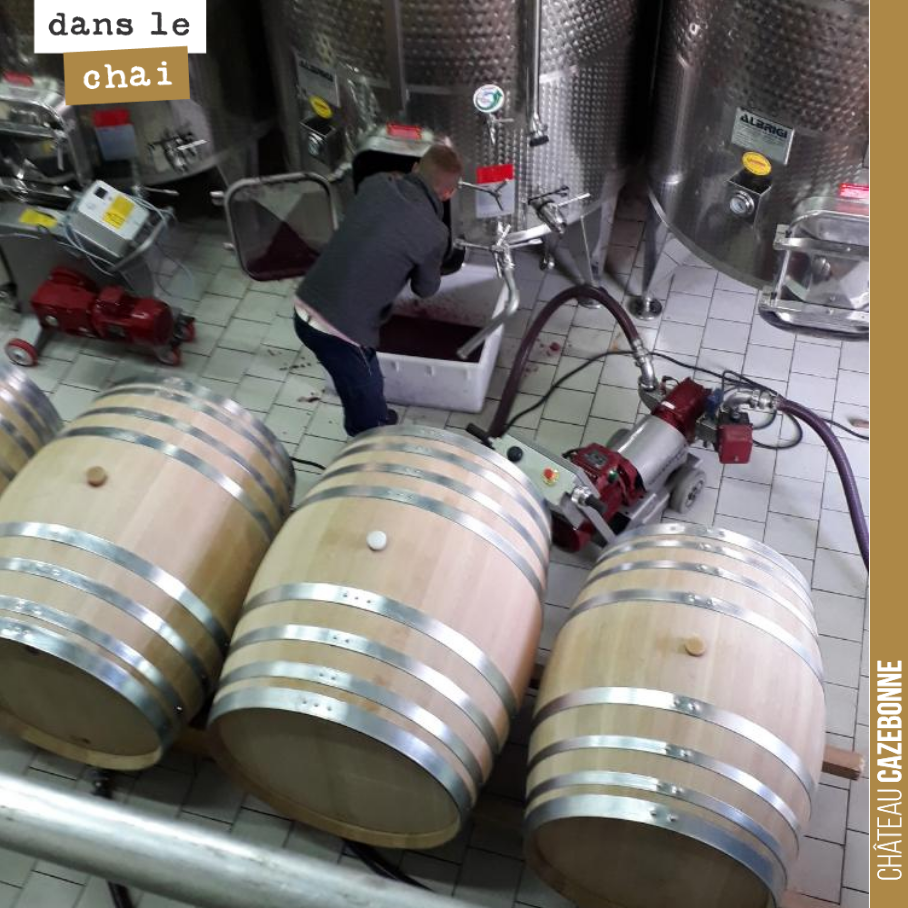 Mais nos parcellaires rouges, on les a aussi mis en barrique. Cela va être passionnant de comparer et de travailler sur la complémentarité avec les amphores.