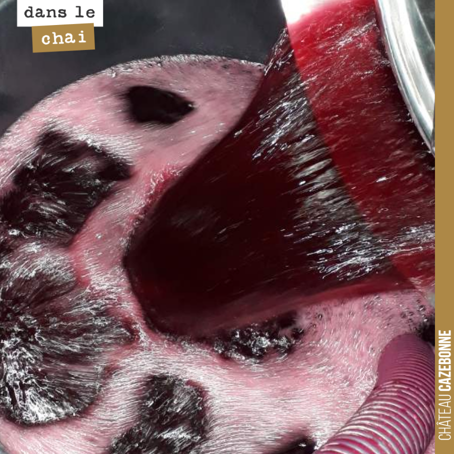 Les jus sont incroyablement flatteurs cette année. Les vins sont déjà très agréables à boire, sur l’équilibre. On a décidé de ne pas trop extraire les cabernets pour garder ce caractère séducteur, ...
