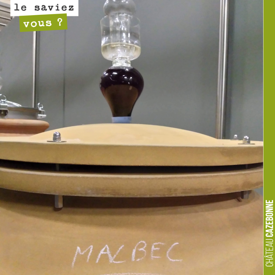 Le malbec était au 19ème siècle un des cépages les plus répandus en Gironde. Il représentait 25% de l’encépagement sur notre commune en 1900. Le cépage a été peu à peu délaissé, notamment du fait d...