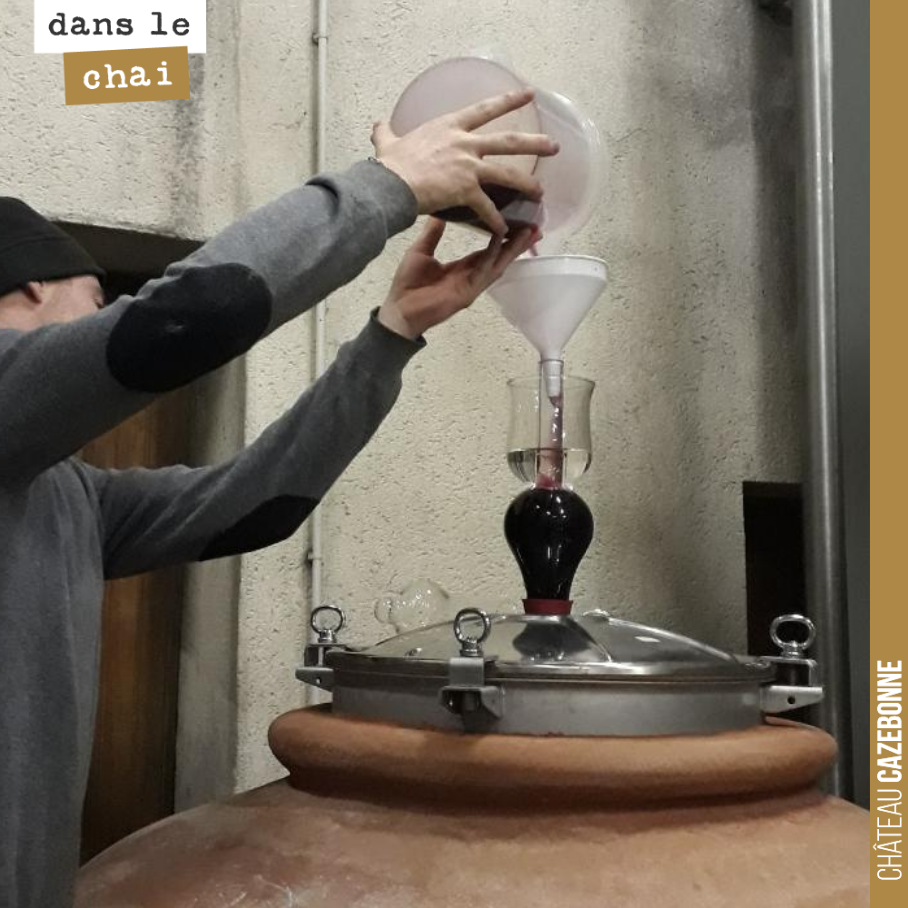 Les amphores, cela a soif. En fonction de leur degré de porosité, on perd du volume. Il faut donc revenir tous les 3 jours pour refaire le plein.
On fera au printemps le bilan. Quelle influence de...