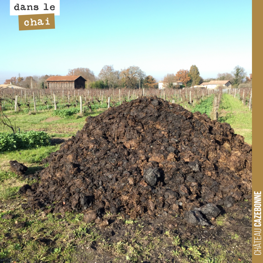 On dispose les tas de composts en attendant que les sols sèchent, après les pluies de novembre.
Aujourd’hui, on ne peut pas l’étendre, impossible de rentrer dans les vignes avec le tracteur. Une d...