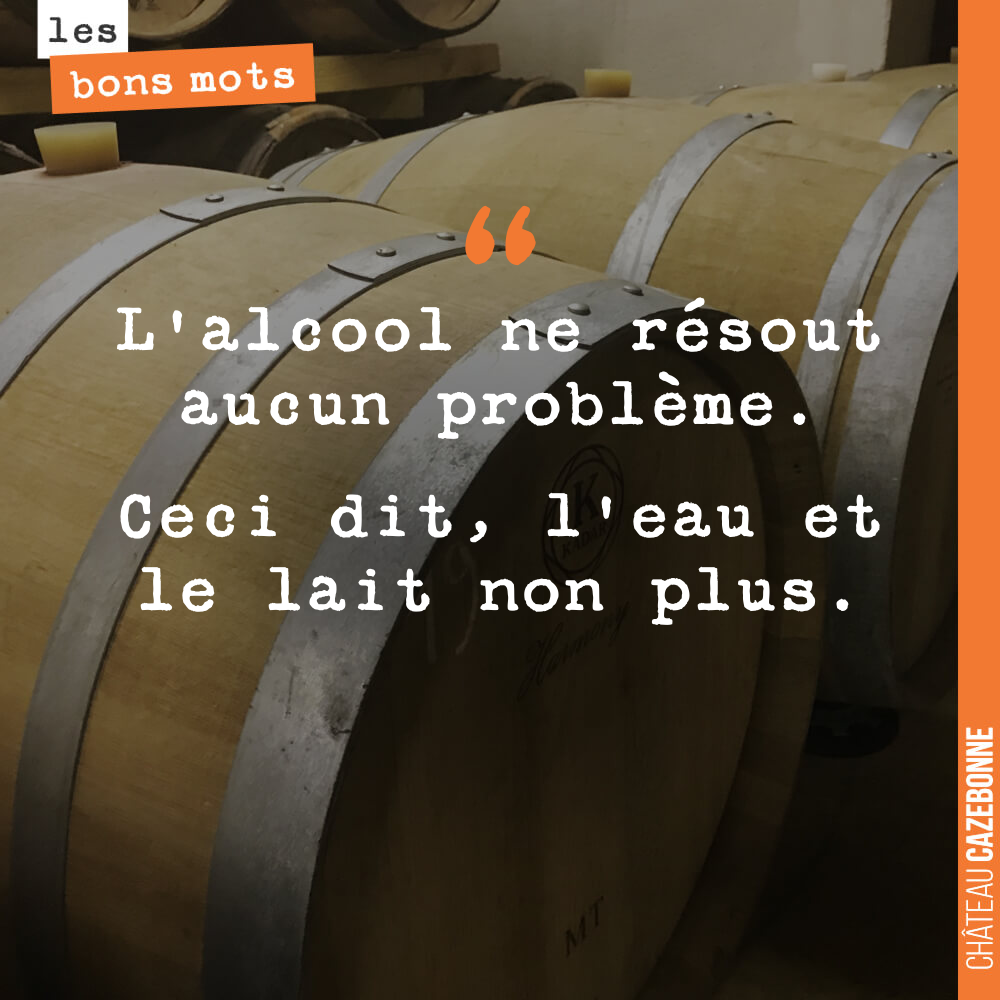 L'alcool ne résout aucun problème. Ceci dit, l'eau et le lait non plus.