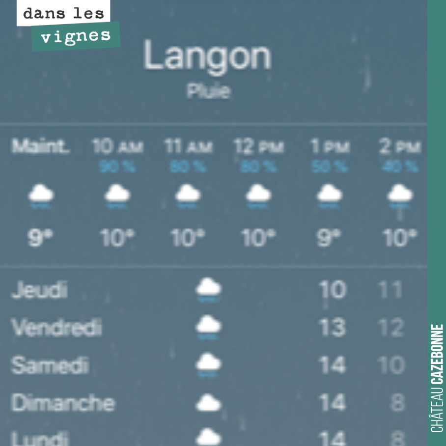 Cette année, on peut dire que l’on manque pas d’eau !