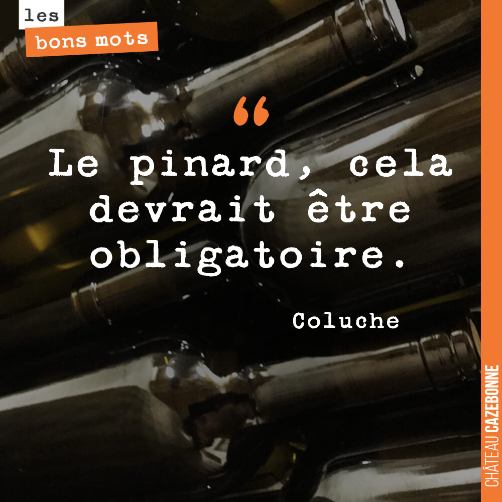 Le pinard, cela devrait être obligatoire.