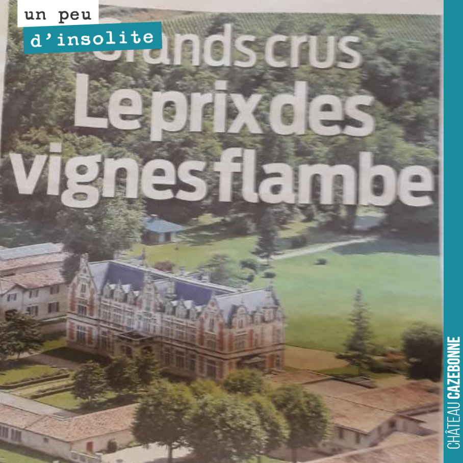 C’est à ni rien comprendre. Les chinois achètent moins, les américains ont instauré des taxes, ce qui n’empêche pas certains de racheter à prix d’or les crus classés de Bordeaux !
On chuchote pourt...