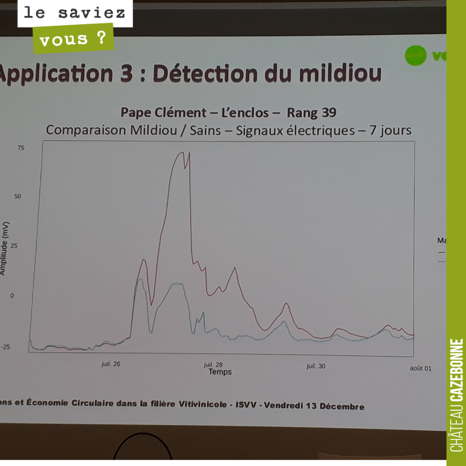 David a assisté vendredi aux rencontres de l'ISVV sur les innovations en matière viticole.
Travail intéressant de la startup Vegetalsignals: sur le suivi et diagnostic des cultures en temps réel à...