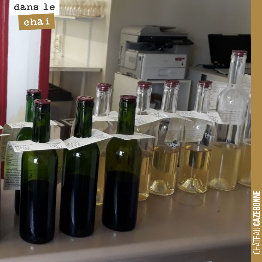 On envoie au laboratoire nos différents lots. Cela va permettre de suivre si tout se passe bien.
On va également voir quels lots on assemble pour la mise en bouteille de notre cuvée Entre amis, e...