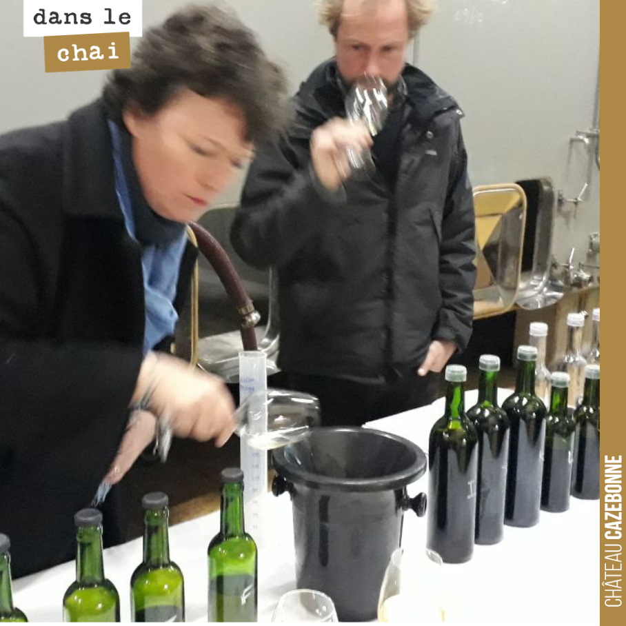 On déguste l’ensemble de nos échantillons du millésime 2019, les lots en cuve, comme les lots en barriques ou amphores.
On déguste également un parcellaire 2017 rouge, que nous avions gardé en éle...