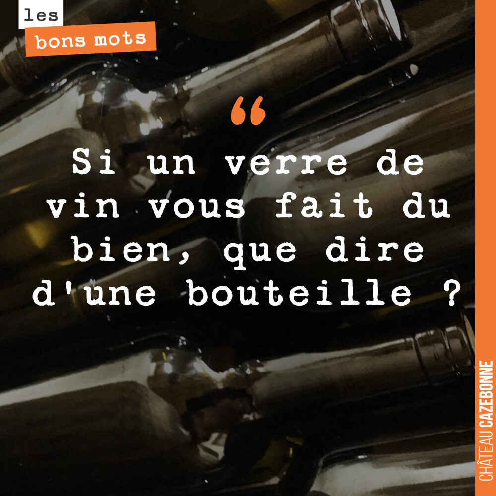 Si un verre de vin vous fait du bien, que dire d'une bouteille ?