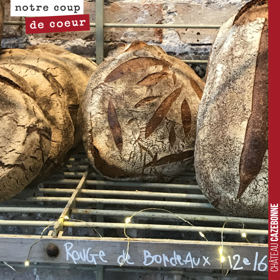 Quel bonheur de retrouver à Paris du pain réalisé avec du blé rouge de Bordeaux. A la boulangerie Auger, boulevard de Charonne.
C’est l’une des variétés anciennes de blés que l’on sème dans nos vi...