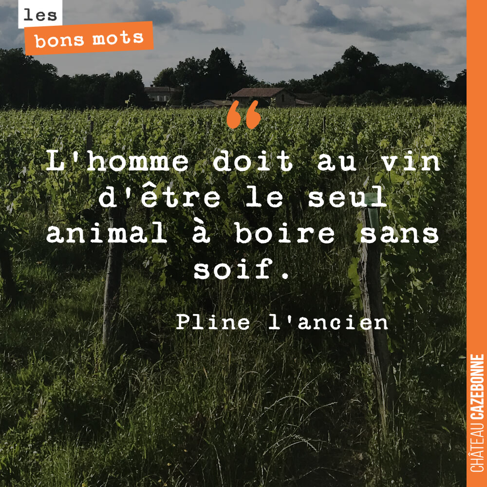 L'homme doit au vin d'être le seul animal à boire sans soif.