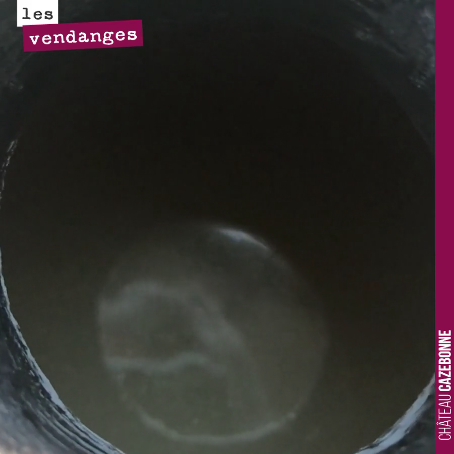 Le liquoreux de David (Clos de Mounissens) fermente encore en barrique, malgré les températures plus fraîches. Il va continuer son travail encore quelques mois.
