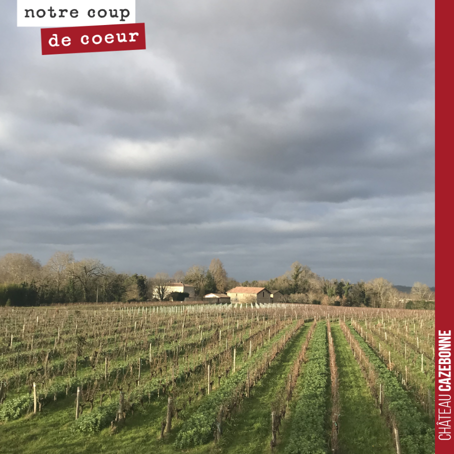 On ne se lasse pas de la vue depuis notre bureau, sur le plateau de Peyron avec les vignes de Médecine au fond et nos plantations de Jurançon noir, de Merille et de Saint-Macaire (les piquets blancs).