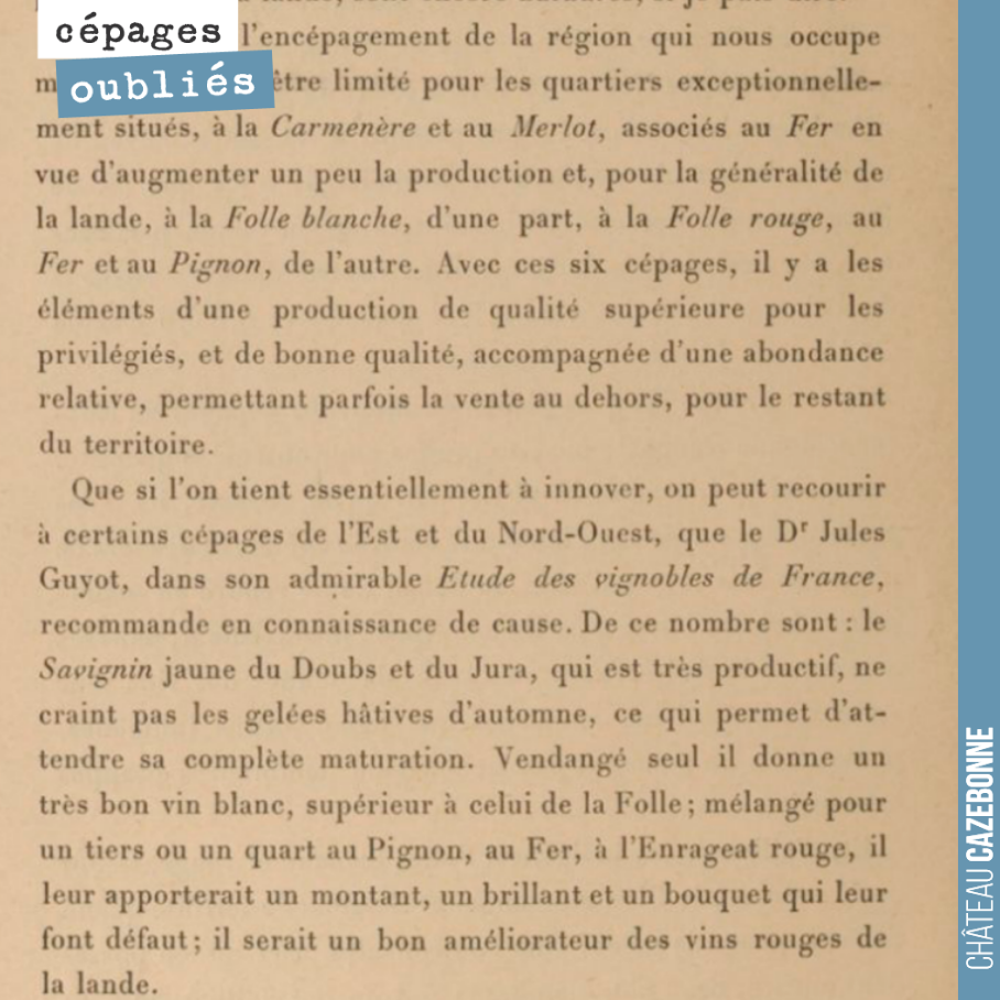 Recommandation d'encépagement pour le Sud Gironde, pour des sols de sables et alios, par F. Vassilière en 1892.
Carménère et Merlot pour les meilleurs terroirs.
Pour les autres terroirs, Folle b...