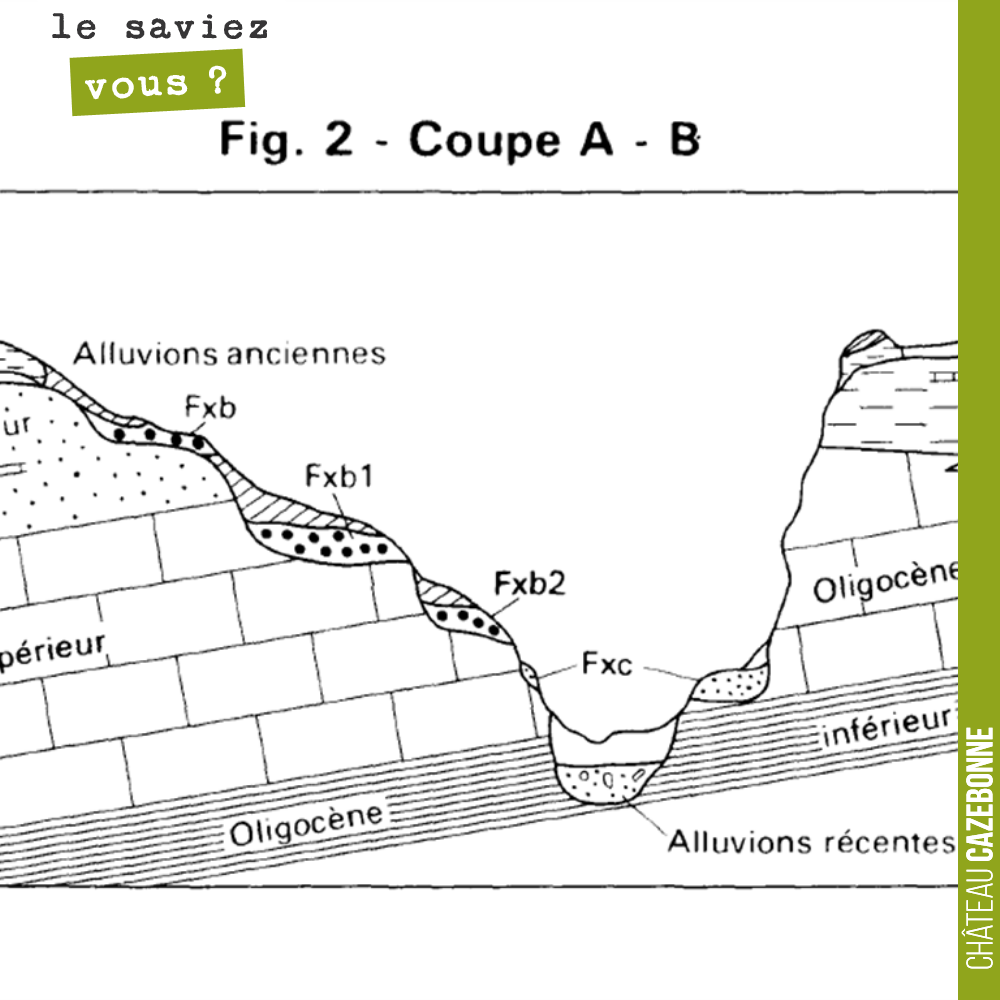 Cette coupe géologique du Langonnais, de Aubiac à Monprimblanc, sur la rive droite, passe, pratiquement au milieu de nos vignes.
Elle donne un aperçu de la très grande diversité des terroirs dont ...