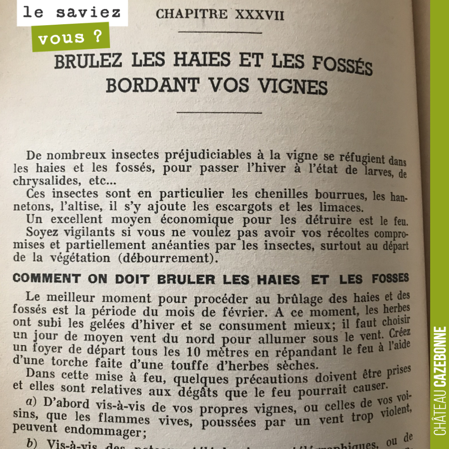 Cette recommandation qui peut paraître étrange aujourd'hui, figure dans 'Le vigneron d'aujourd'hui', manuel pour le vigneron de Raymond Carles, atour de 1950.
On est en plein dans l'après guerre, ...