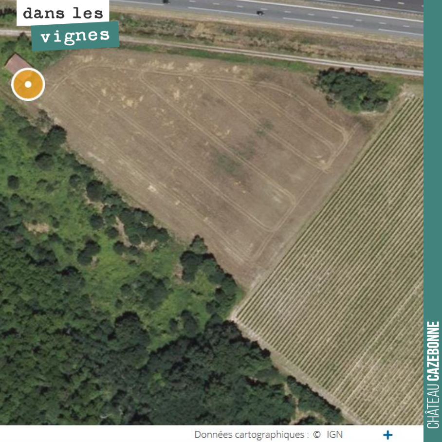 Notre îlot de Couet, sur le plateau de Graves de Cazebonne. C’est ici que nous avons replanté une dizaine de cépages oubliés de Bordeaux, qui seront en production dès cette année.
Au nord l’autoro...