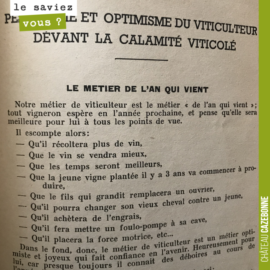 1950 : pessimisme et optimisme du viticulteur...
La gestion de l'alea climatique reste encore et toujours au coeur des préoccupations.