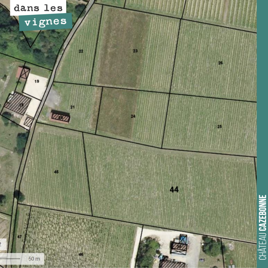 Nos parcelles de Médecine au nord de notre plateau de Peyron. Nous avons planté (sur la zone où la terre est à nue) du Saint-Macaire, du Jurançon noir et de la Merille. 3 cépages historiques de Bor...