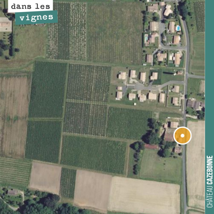 Notre îlot de Darche est encerclé par les lotissements, extension continue de la commune de Saint-Pierre de Mons. Les terroirs ont ici pour originalité que la plaque de calcaire à asteries n'est pa...
