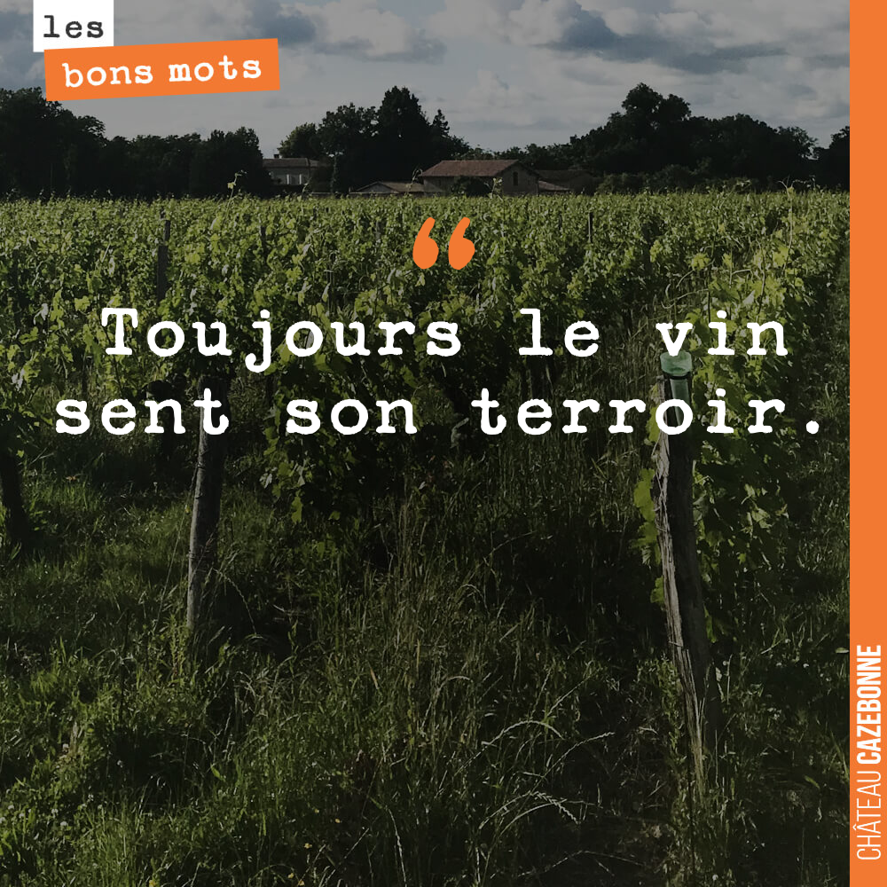 Toujours le vin sent son terroir.