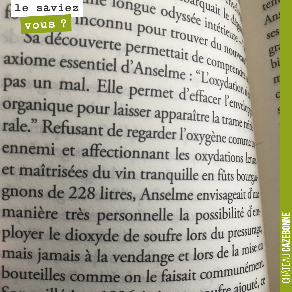Extrait choisi. Théorie de la bulle carrée de Sébastien Lapaque.
L'oxydation n'est pas un mal. L'oxygène n'est pas un enemi, notamment sur les oxydations lentes et ménagées.
Intéressant, non ?