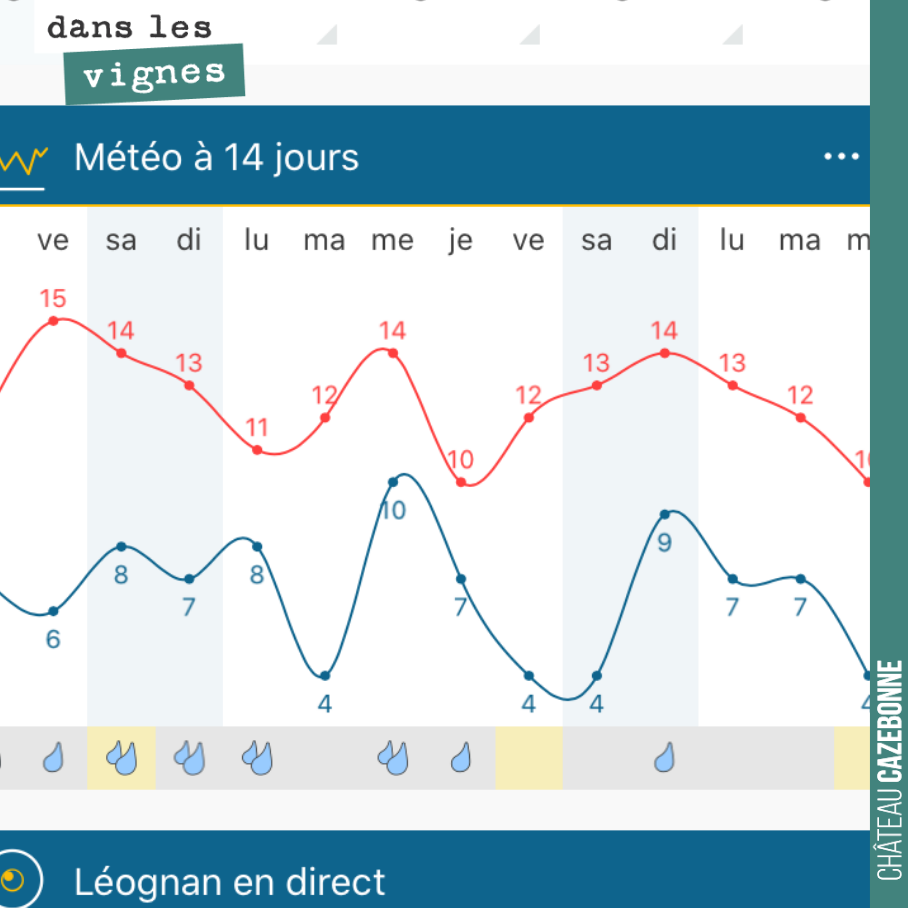 Avec l’hiver doux que nous avons connu, notre grande crainte est que la vigne débourre trop tôt. Dans ce cas, cela allonge la fenêtre de risque pour le gel, qui peut survenir jusqu’à début mai (nou...