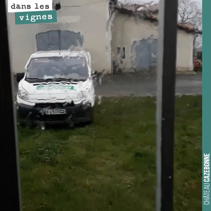 De la pluie, des grêlons...
Cela n’arrête pas cette année. Nos sols absorbent cela et au moins les températures restent fraîches en ce mois de mars. On craignait que cela débourre trop tôt, on dev...