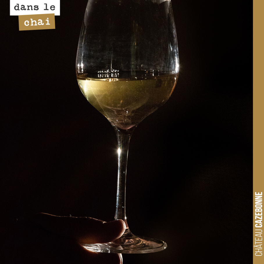 Photo de Antonin Bonnet pour le site Viamo.fr.
Sauvignon élevé en barrique issu de nos parcelles de Bouché.