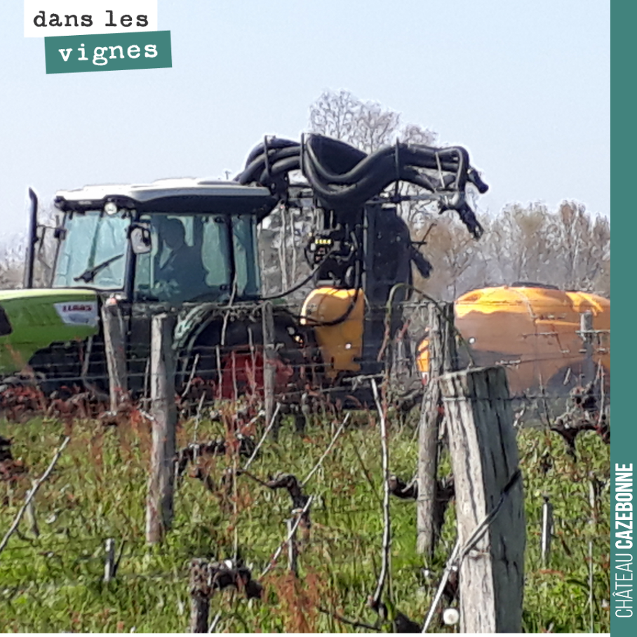 On a pulvérisé hier une préparation de glycine et de betaine diluée dans de l’eau.
Le principe actif agit en pénétrant par la surface foliaire. Cela agit sur la fluidité de la sève et réduit le ri...