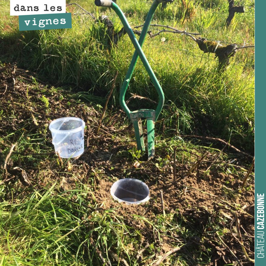 Valentin dans le cadre de son Bts, travaille sur une étude de la vie des sols, en comparant selon plusieurs méthodes, nos sols en bio et biodynamie depuis 3 ans, avec des sols en conventionnel sur ...