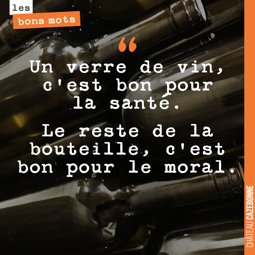 Un verre de vin, c'est bon pour la santé. Le reste de la bouteille, c'est bon pour le moral.