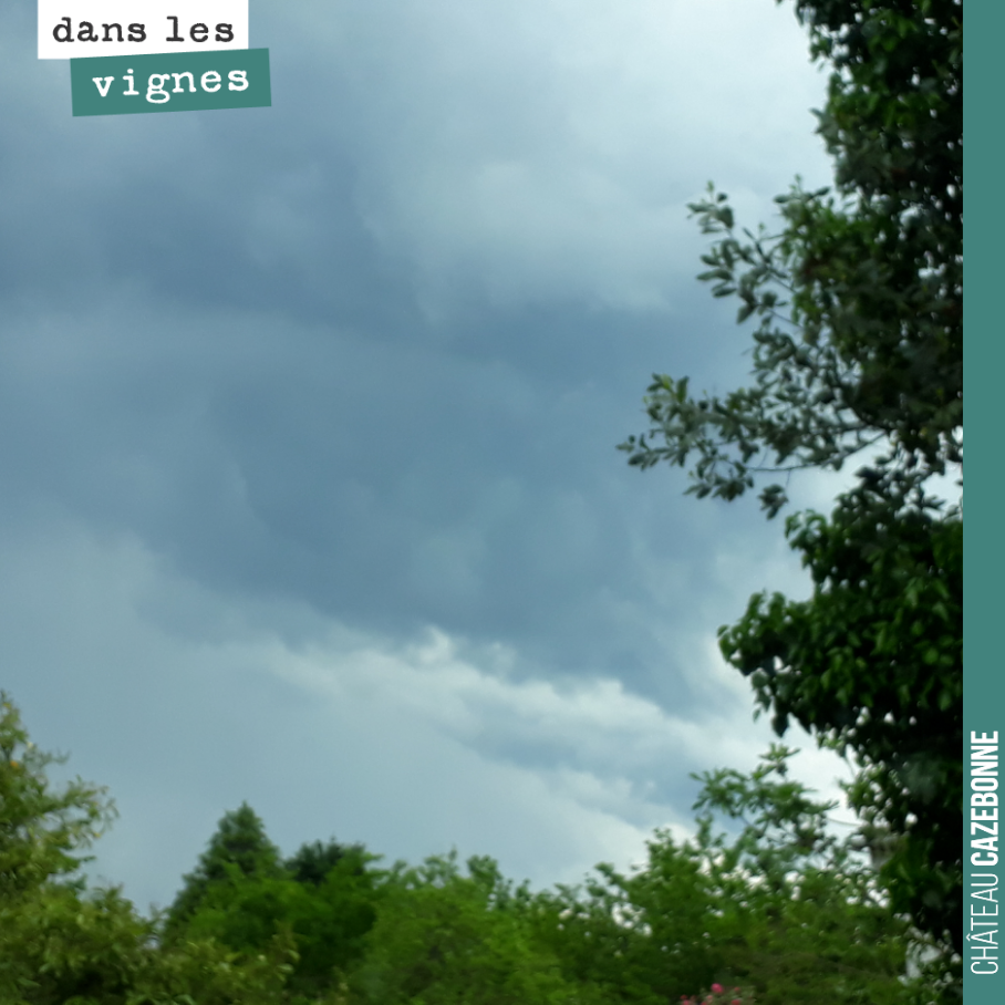 Les pluies s’annoncent. On se presse de traiter ce matin, pour profiter de cette fenêtre de tir. Les 20 mm de pluies que l’on a eu ont largement entamé le pouvoir de protection du cuivre sur les fe...