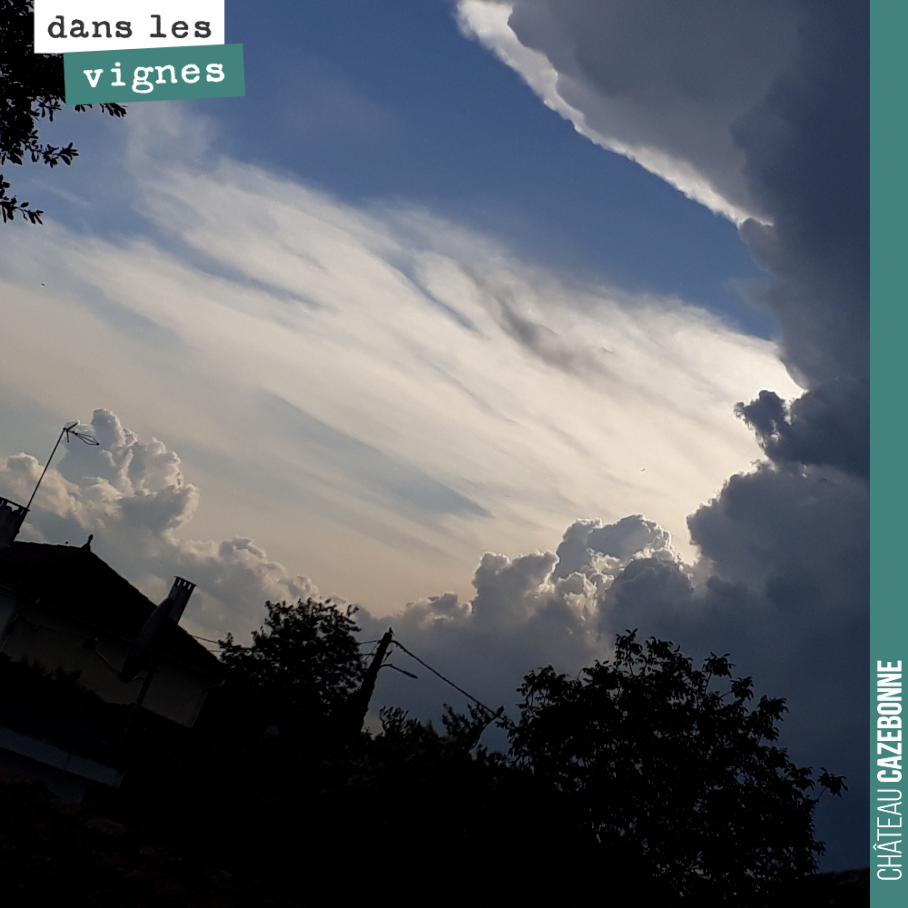 Les orages, le gros des pluies sont derrière nous. Encore quelques pluies annoncées pour la fin de la semaine et on devrait avoir une semaine d’accalmie et de soleil la semaine prochaine avec un re...