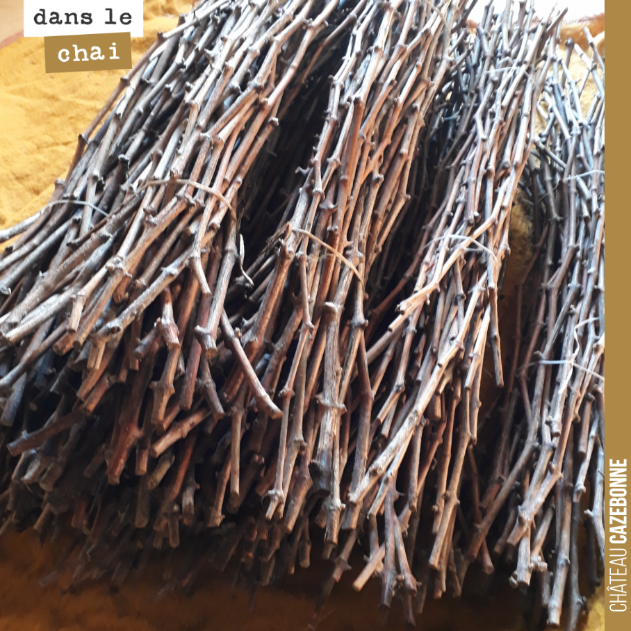 Les sarments sont prêts pour le surgreffage de Mancin. Ces sarments ont été sélectionnés et conservés en chambre froide tout l’hiver.
Ils sont en parfaite condition de conservation et vous pouvoir...